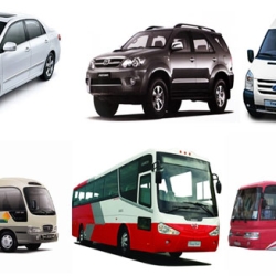 Cho thuê xe du lịch giá rẻ